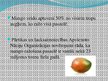 Presentations 'Mango augļu tirgus', 9.