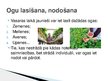 Presentations 'Darba tirgus jauniešiem', 2.