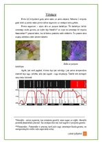 Summaries, Notes 'Augu evolūcija un daudzveidība', 2.