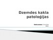 Presentations 'Dzemdes kakla patoloģijas', 1.