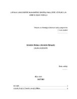 Research Papers 'Aristids Briāns', 1.