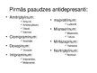Presentations 'Antidepresanti', 18.