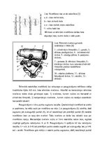 Summaries, Notes 'Nivelieris. Ģeometriskā nivelēšana ar starppunktiem', 3.