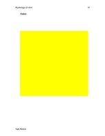 Research Papers 'Psychology of Color', 16.