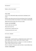 Samples 'Ekonomika – nauda, vajadzības un atbildīgi lēmumi', 19.