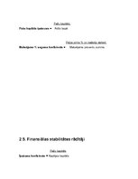 Research Papers 'Finanšu analīze', 22.