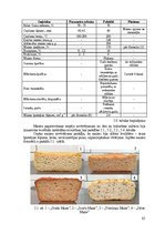 Term Papers 'Bezglutēna maizes ceptuves "Latgolys maiznīks" projekts', 65.