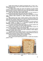 Term Papers 'Bezglutēna maizes ceptuves "Latgolys maiznīks" projekts', 66.