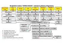 Term Papers 'Bezglutēna maizes ceptuves "Latgolys maiznīks" projekts', 82.