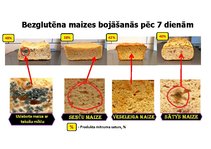 Term Papers 'Bezglutēna maizes ceptuves "Latgolys maiznīks" projekts', 91.