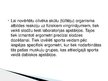 Presentations 'Sporta medicīna', 12.
