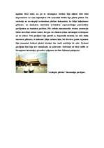 Research Papers 'Senās Indijas un Senās Ķīnas arhitektūra', 16.