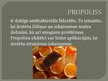 Presentations 'Dabiskie antibakteriālie līdzekļi', 5.