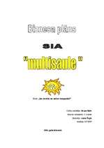 Business Plans 'SIA "Multisaule" ', 1.