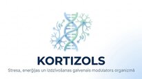 Presentations 'Kortizola loma organismā un stresa reakcijā', 1.