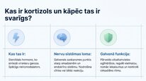 Presentations 'Kortizola loma organismā un stresa reakcijā', 2.