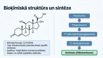 Presentations 'Kortizola loma organismā un stresa reakcijā', 4.