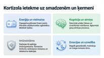 Presentations 'Kortizola loma organismā un stresa reakcijā', 6.