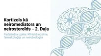 Presentations 'Kortizola loma organismā un stresa reakcijā', 13.