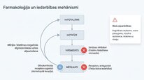 Presentations 'Kortizola loma organismā un stresa reakcijā', 17.