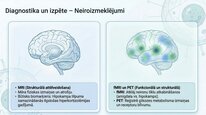 Presentations 'Kortizola loma organismā un stresa reakcijā', 20.