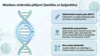 Presentations 'Kortizola loma organismā un stresa reakcijā', 23.