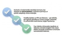 Presentations 'Kortizola loma organismā un stresa reakcijā', 26.