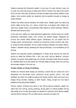Essays 'How weather affects daily life', 3.
