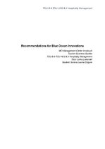 Essays 'Recommendations for Blue Ocean Innovations', 1.