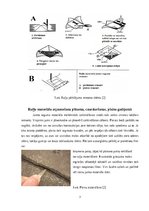 Research Papers 'Ruļļu materiālu jumta segumu remonts un nomaiņa', 7.