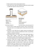Research Papers 'Ruļļu materiālu jumta segumu remonts un nomaiņa', 12.