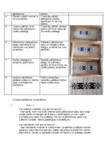 Samples 'Etnogrāfija darba lapa', 4.