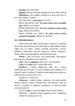 Term Papers 'Reklāmas teksts un ekstralingvistiskie faktori', 26.