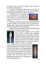 Research Papers 'Senā Ēģipte', 3.