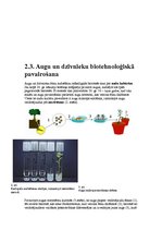 Summaries, Notes 'Biotehnoloģijas', 3.