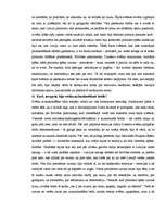 Essays 'Rīgas 2007.gada 18.novembra svētku analīze', 3.