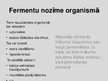 Presentations 'Fermenti medicīnā', 2.