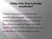 Presentations 'Sengrieķu kultūrvaronis Zevs', 8.