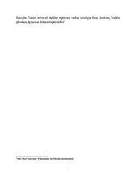 Practice Reports 'Prakse finanšu grāmatvedībā', 7.