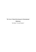 the socio cultural environment