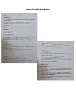 Summaries, Notes 'Life hack LATVIEŠU VALODAS eksāmenam', 6.