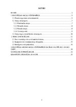 Research Papers 'Investīcijas akciju vērtspapīros, to riski un ienesīgums', 2.