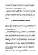 Research Papers 'Investīcijas akciju vērtspapīros, to riski un ienesīgums', 15.