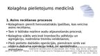 Presentations 'Kolagēna īpašības un pielietojums kosmetoloģijā/ medicīnā', 7.