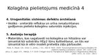 Presentations 'Kolagēna īpašības un pielietojums kosmetoloģijā/ medicīnā', 11.