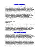 Research Papers 'Aerobikas stili', 4.