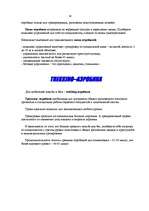 Research Papers 'Aerobikas stili', 17.