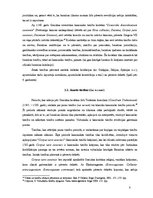 Research Papers 'Kanoniskās tiesas un tiesvedības process', 8.