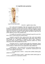 Research Papers 'Fizioterapija pēc augšstilba kaula lūzuma', 13.