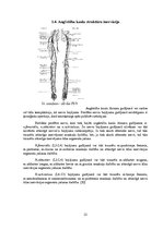 Research Papers 'Fizioterapija pēc augšstilba kaula lūzuma', 15.